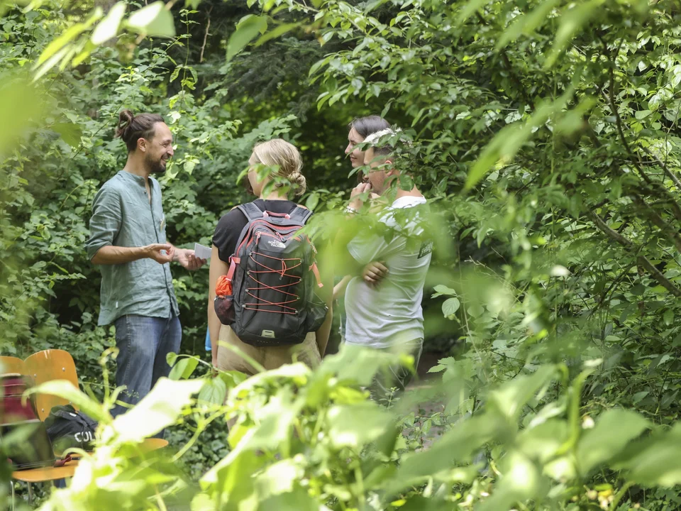 Ein Dozent steht mir drei interessierten Personen in einem Landschaftsgarten