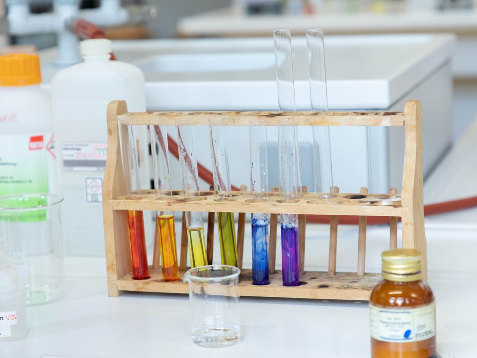 Mehrere Reagenzgläser mit bunten Flüssigkeiten stehen in einem Halter aus Holz.