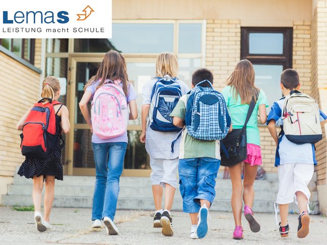 Online LemaS-Jahrestagung 2020, Foto: @ LemaS