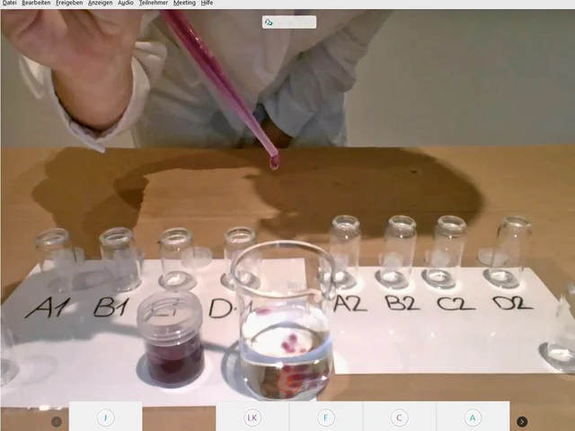 Digitales Lehr-Lern-Labor: Studierende experimentieren für Schülerinnen und Schüler per Videokonferenz. Foto: Pädagogische Hochschule Karlsruhe