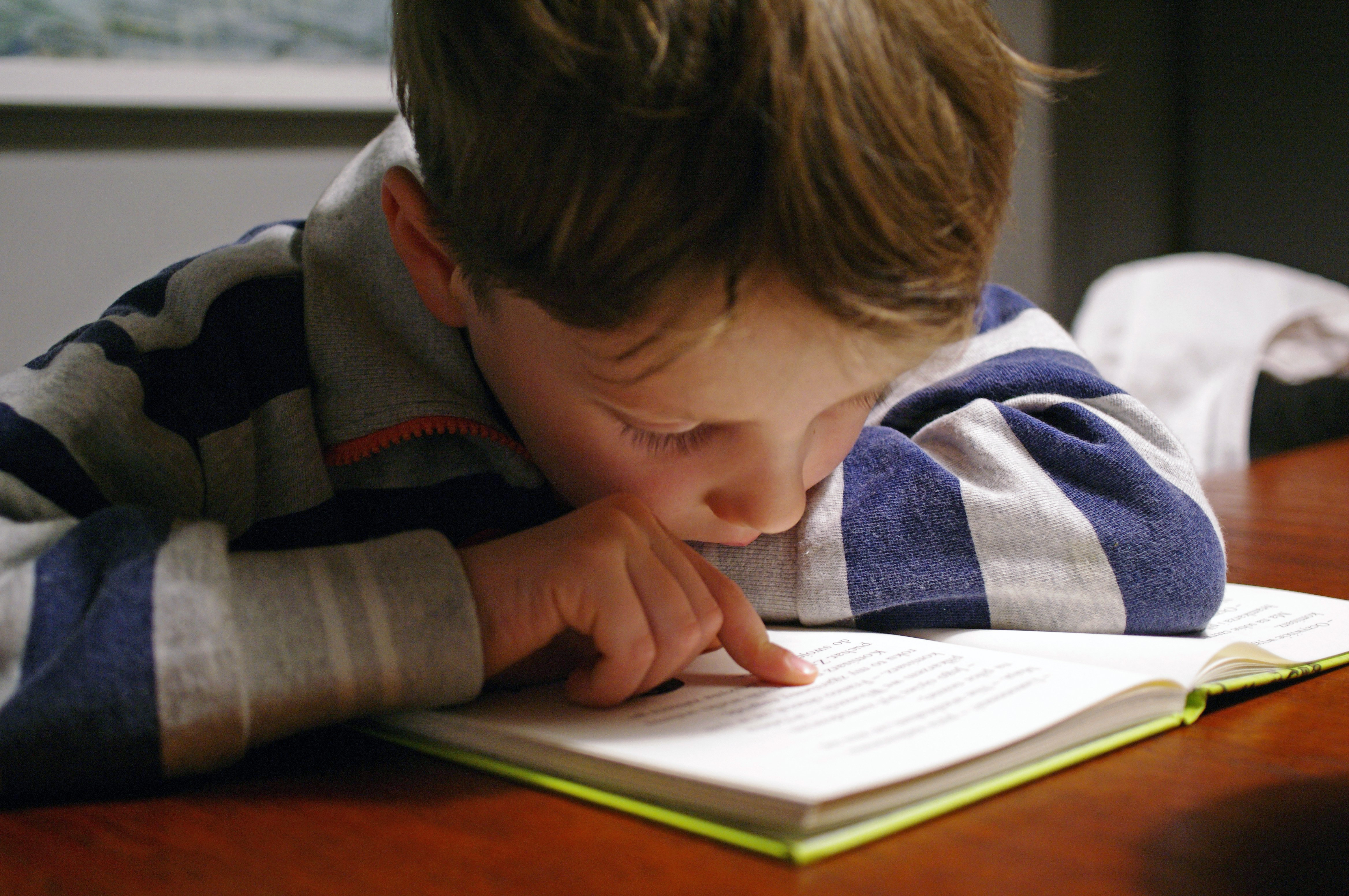 Lesen fördern: Die Buchempfehlungen Sommer 2026 des Projekts boys & books sind online. Foto: Michał Parzuchowski auf Unsplash