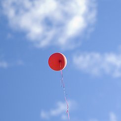 International Office